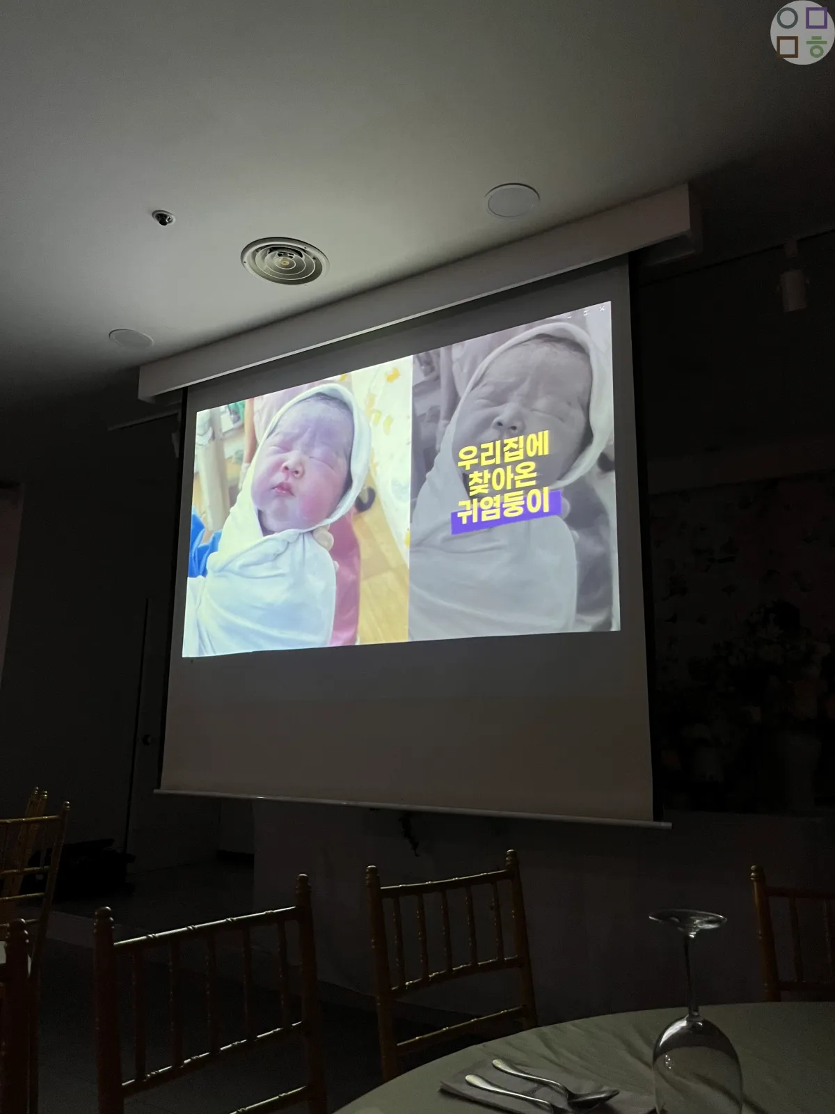 성장-동영상-보는-암전-집중