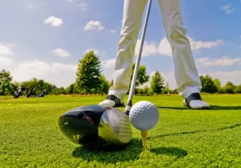 여름 고온기 관리 차광망 환기 관수 병해 예방 루틴_17