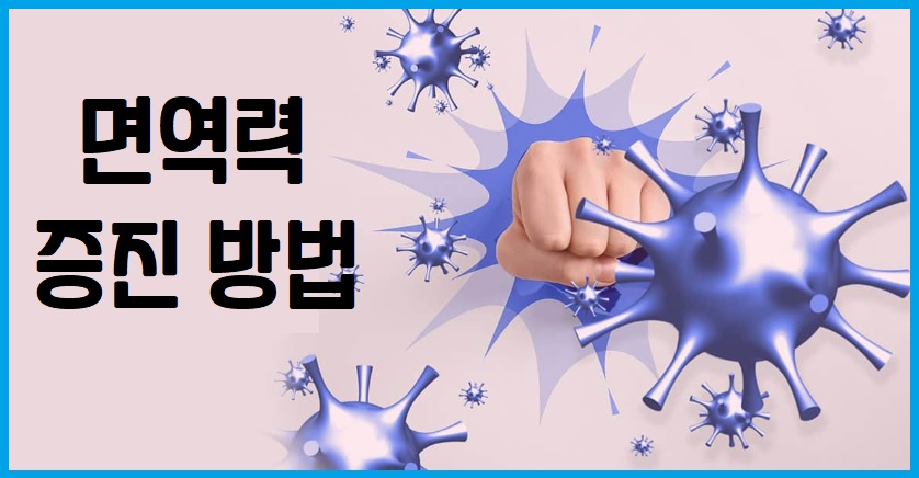 면역력 증진 방법