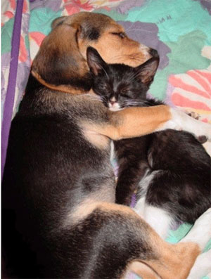 포옹의 효과 6가지, 포옹하면 좋은 점