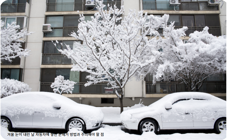겨울 눈이 내린 날 자동차에 쌓인 눈제거 방법과 주의해야 할 점