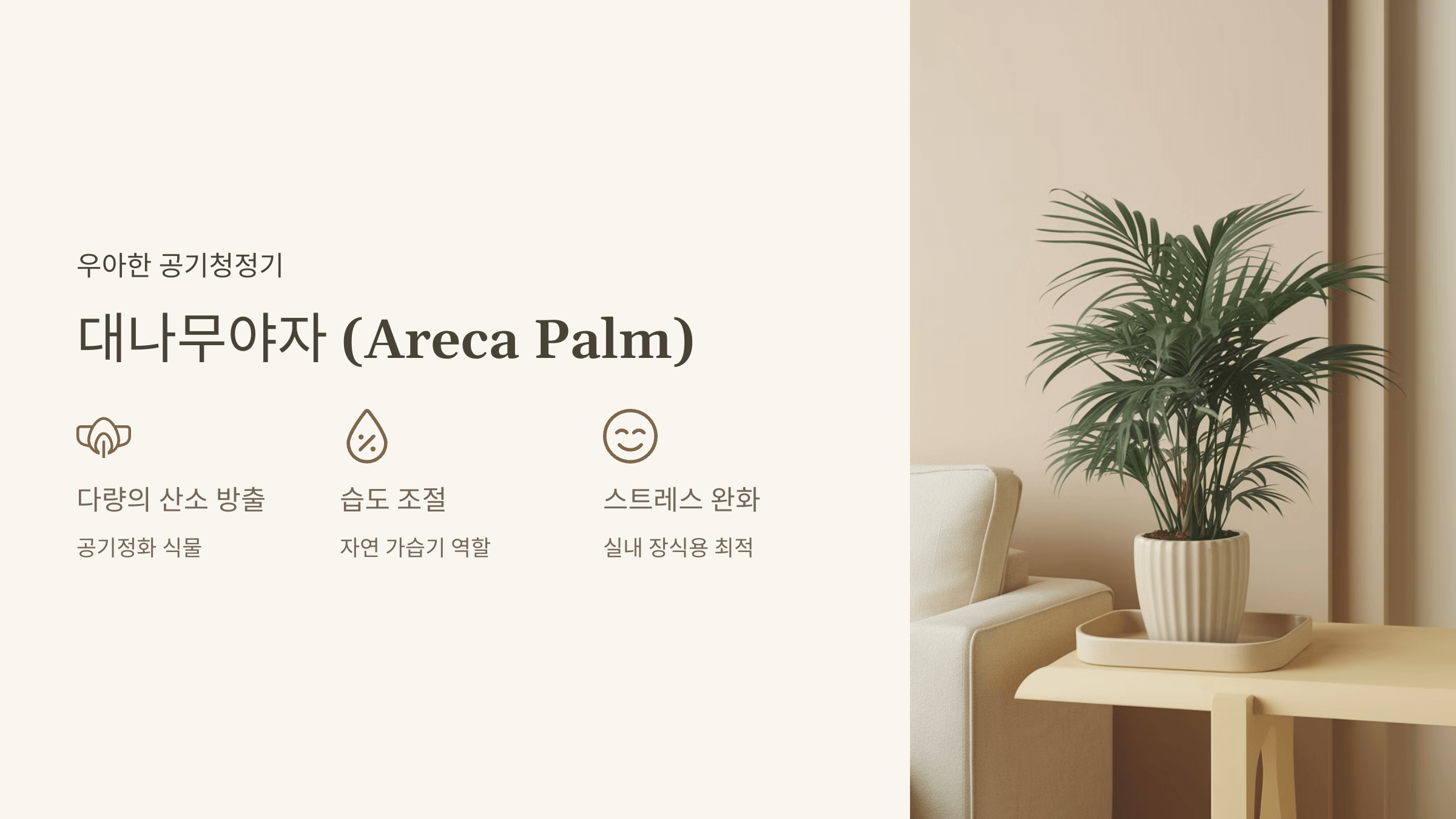 대나무야자 (Areca Palm)