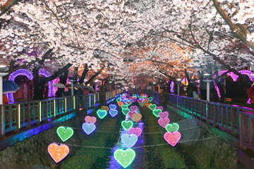 25년 4월 봄꽃여행지추천!!벚꽃 &amp; 유채꽃 절정! 봄꽃 여행지 BEST 6