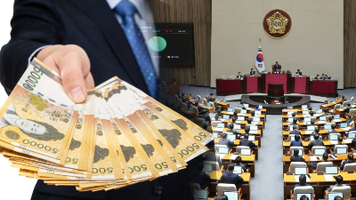 민생회복 소비쿠폰