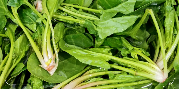 마그네슘 부족현상 원인 증상 대처5