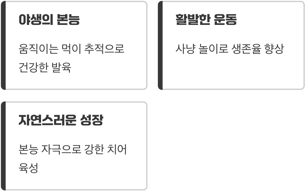 움직이는 먹이가 사냥 본능을 깨워요