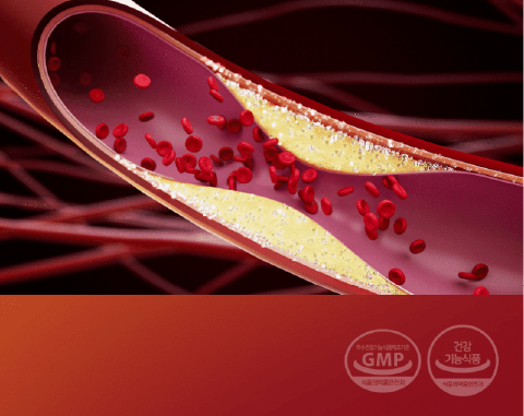 혈당 개선 영양제 솔티스 효능&amp;#44; 부작용&amp;#44; 후기