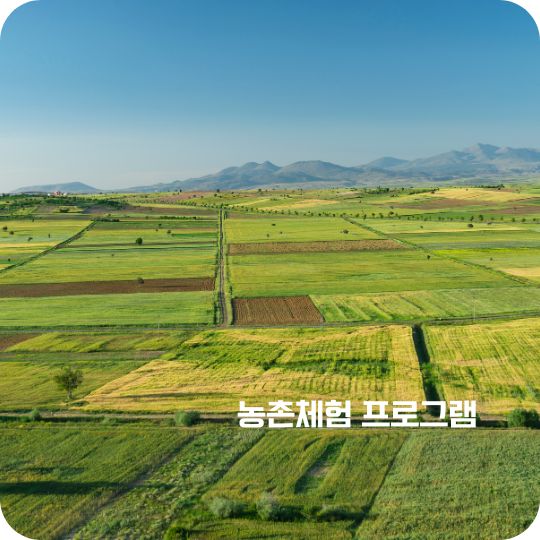 농촌체험 프로그램 선착순 예약하기