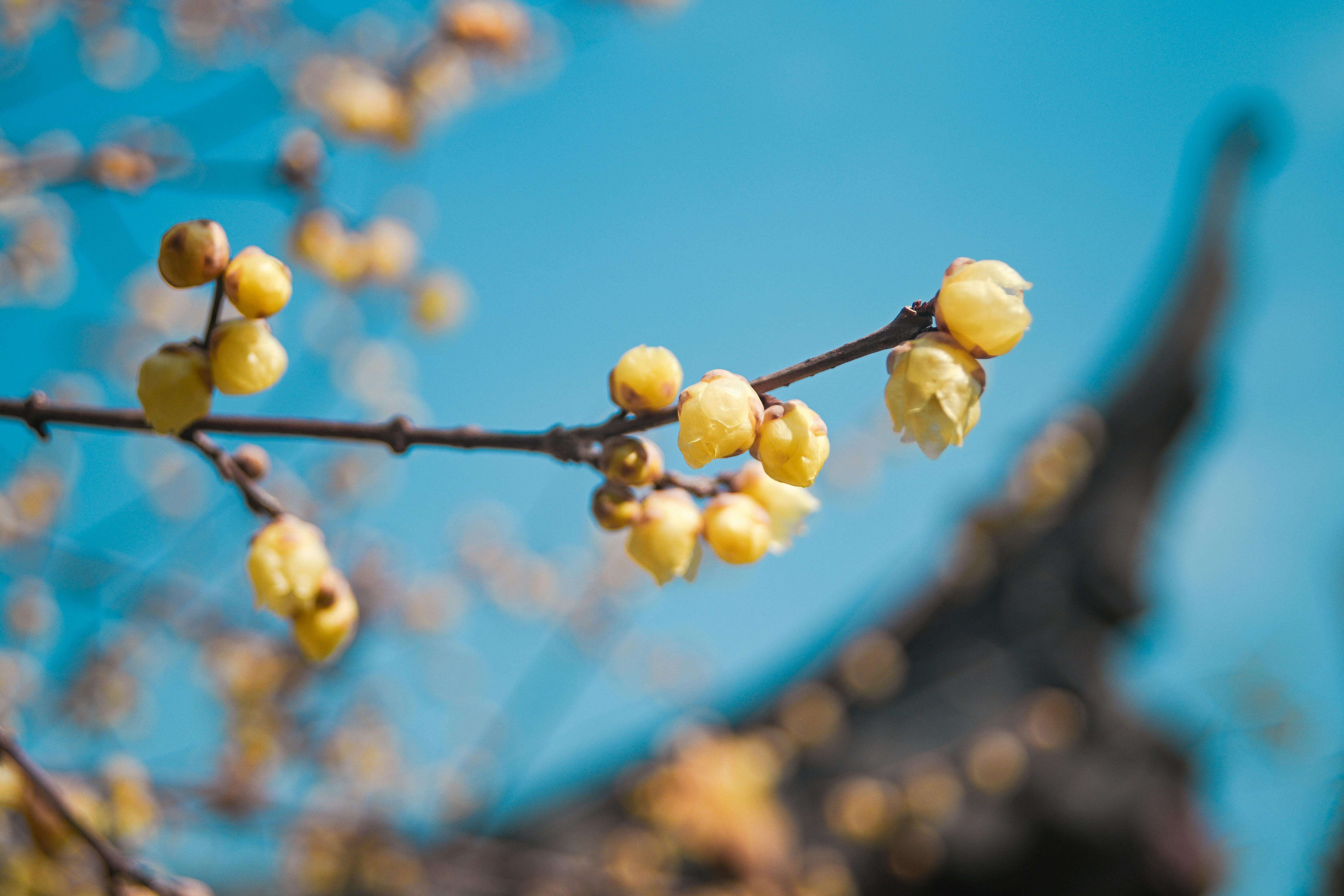 춘곤증 원인과 해결 방법&amp;#44; 봄철 피로가 계속되는 이유