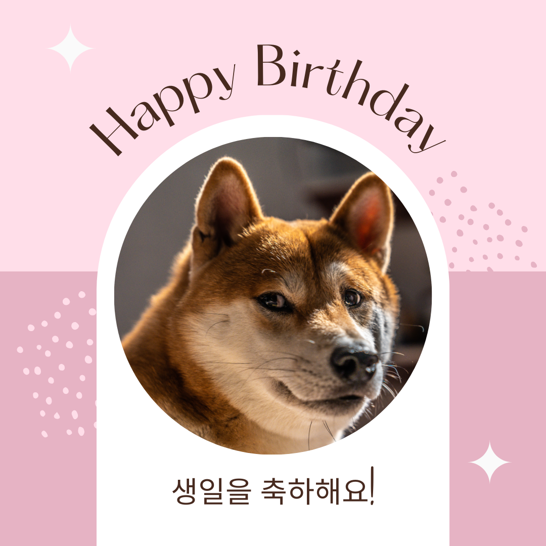 생일 축하 메세지 문구 인사말 이미지 모음