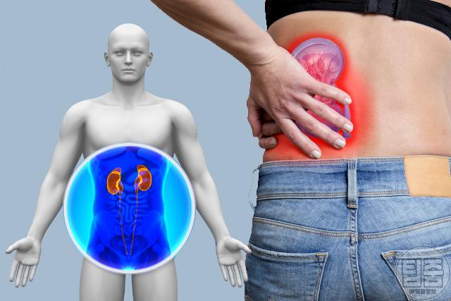 우울증 증상 신장병,팁줌