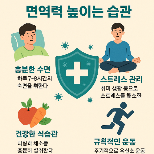 면역력 높이는 습관 요약 사진