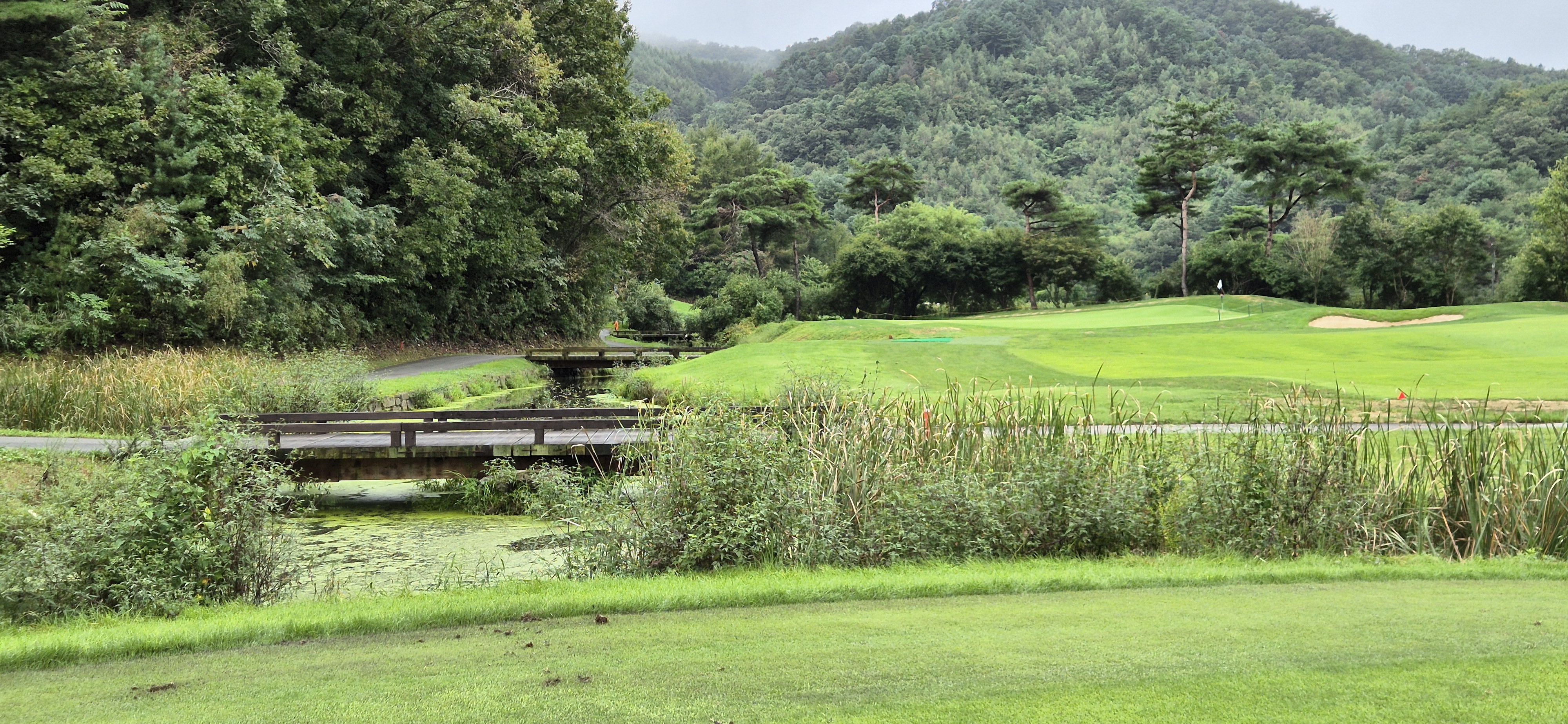 더플레이어스cc