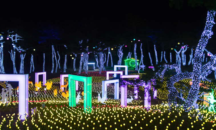 단양 수양개빛터널