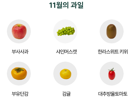 김치와 제철과일 정기배송 농협맛선
