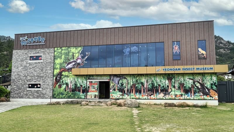 영암 곤충박물관