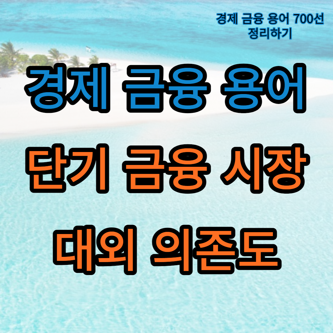 단기 금융 시장_대외 의존도