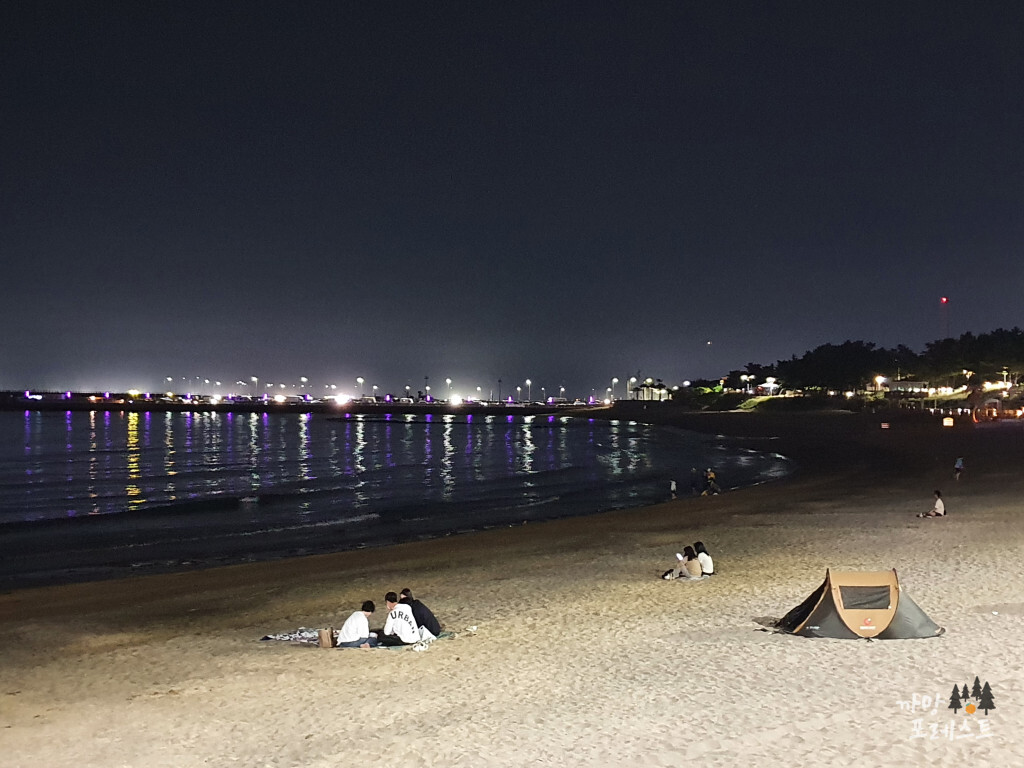 싹 게스트하우스 이호테우 밤산책