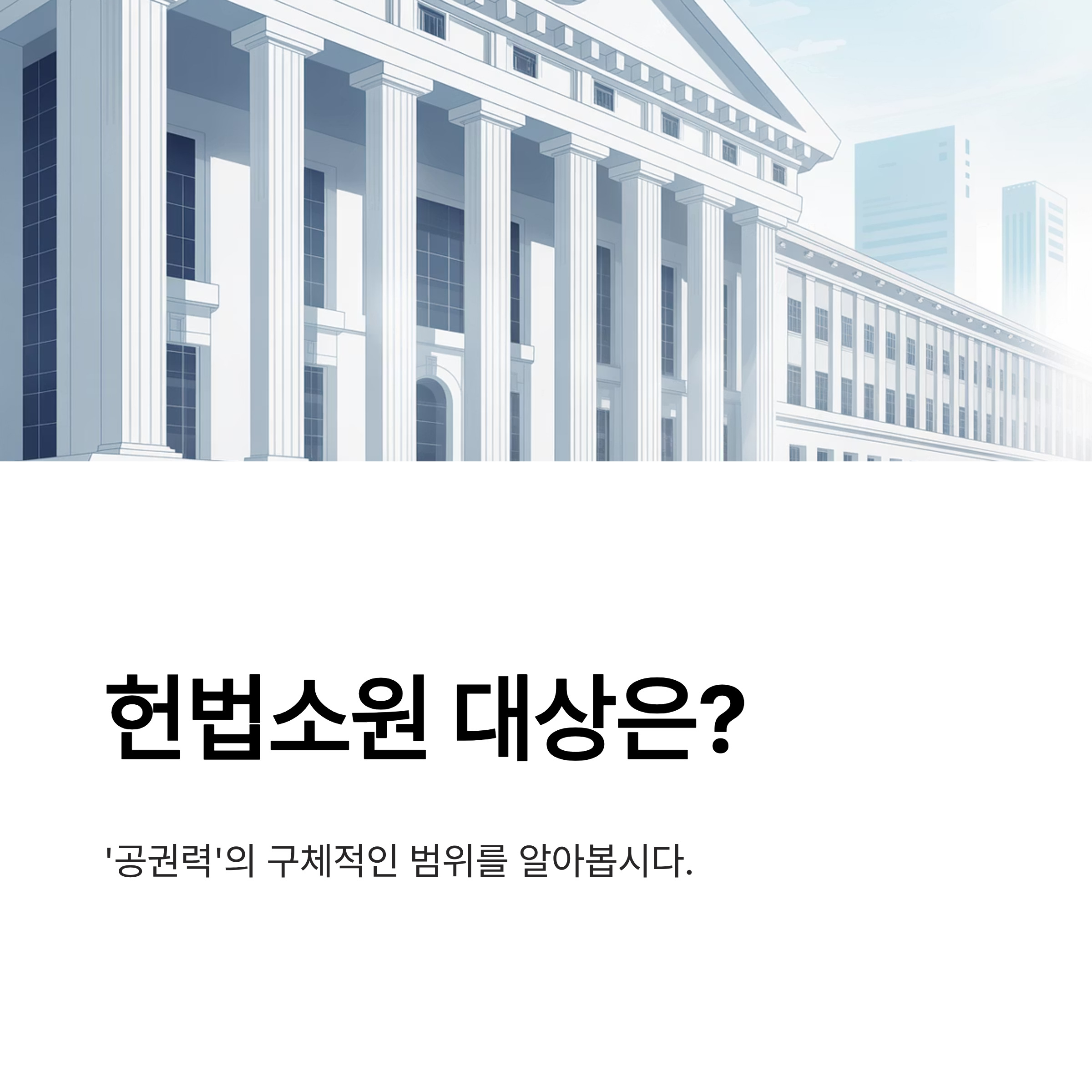 헌법소원 대상
