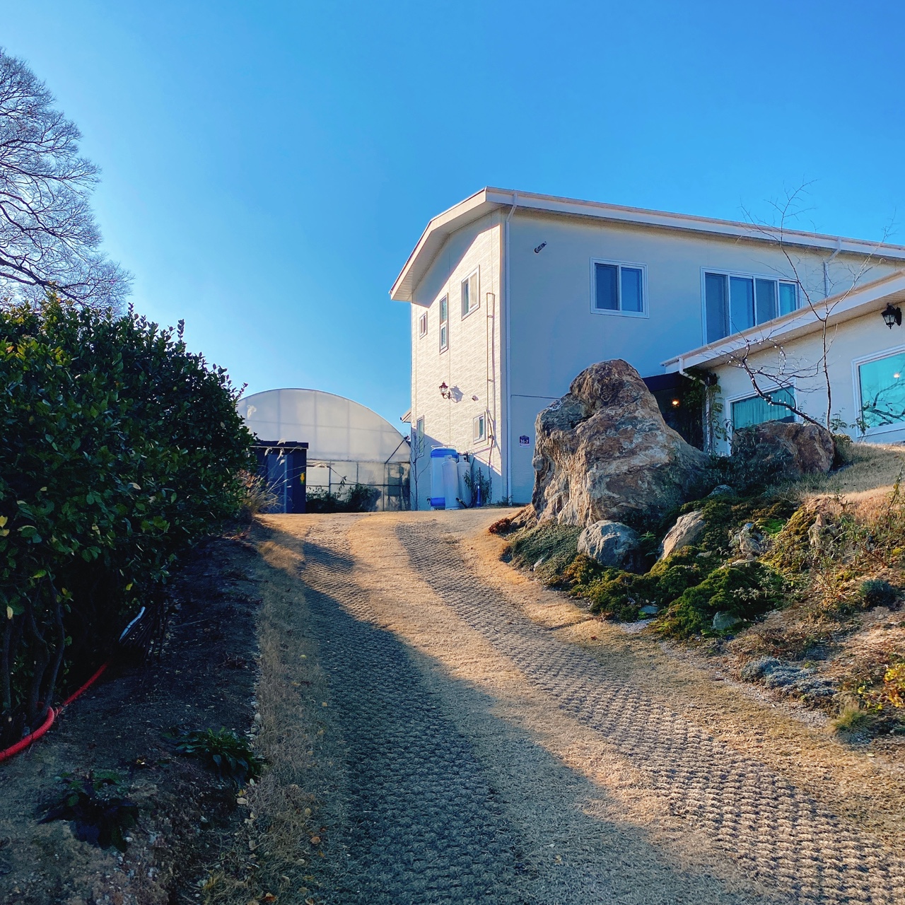 강화도 야생화 뜰 카페