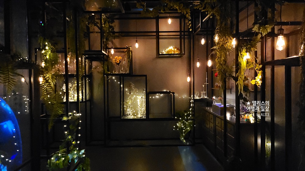 플라워바이네이키드 홍대 놀거리 입장료 23% 할인예매방법, 즐기는 꿀팁 네가지