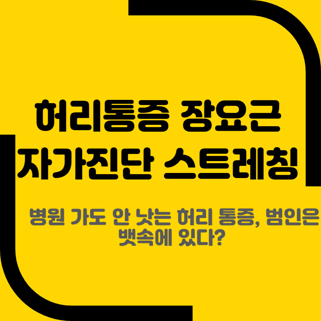 허리통증 장요근 자가진단 스트레칭