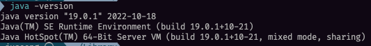 java -version