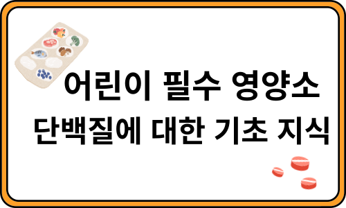 어린이 필수 영양소 단백질에 대한 기초 지식