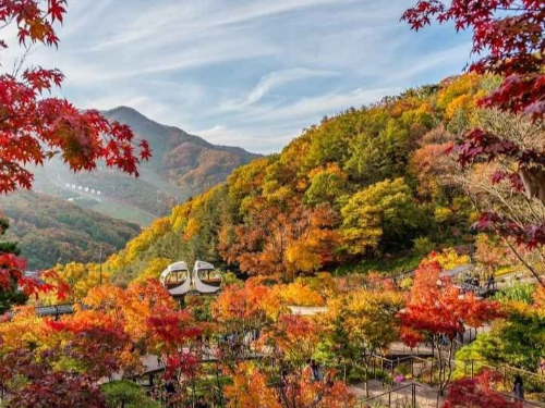 화담숲 모노레일 가격 예약방법