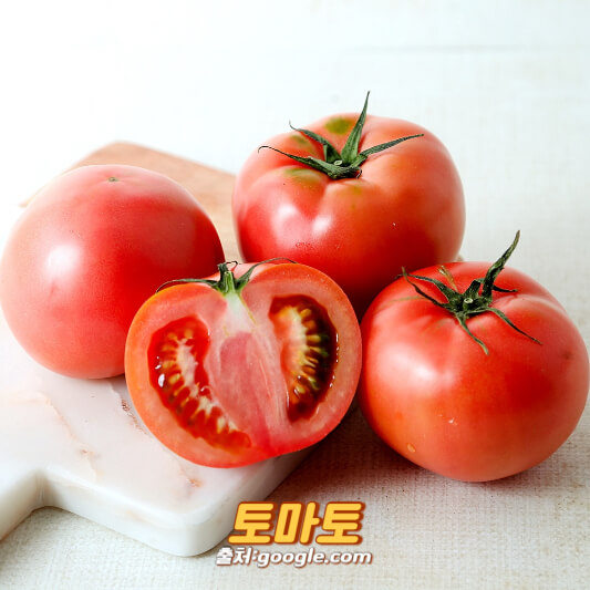 토마토