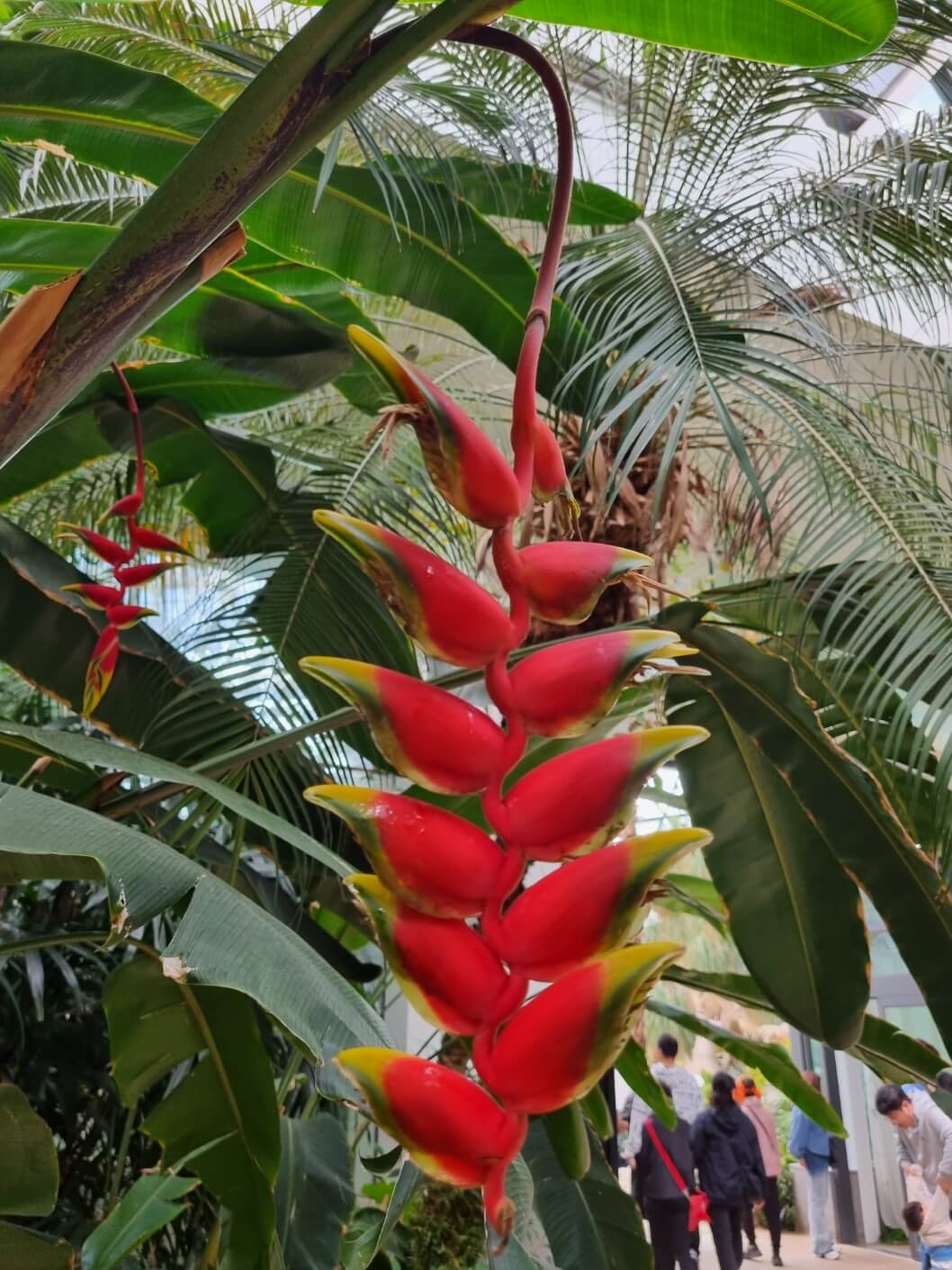 서울식물원 입장료