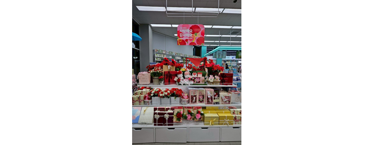 원주시 종합생활용품 다이소