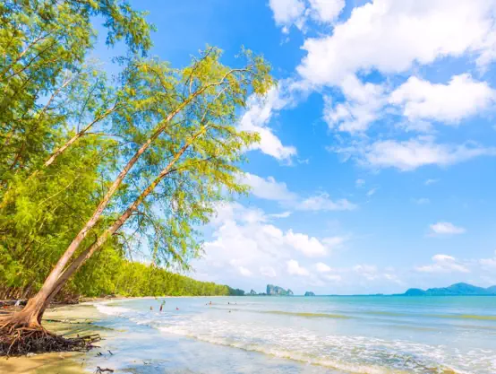 플레이어2 바다 촬영지 파타야 해변