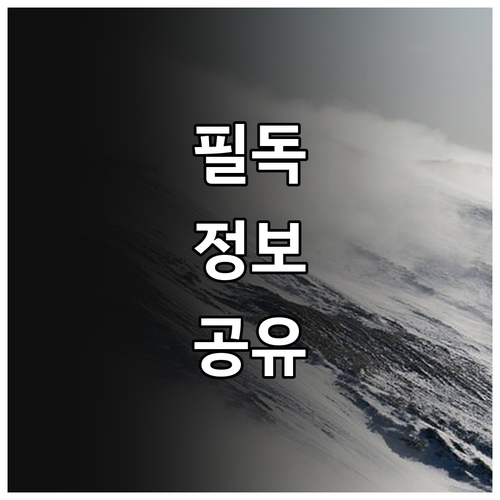 2025 강릉시 전입축하금 총정리 지..