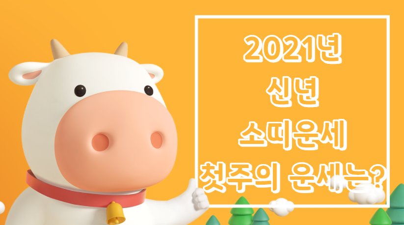 2021년 소띠해 신년 주간운세