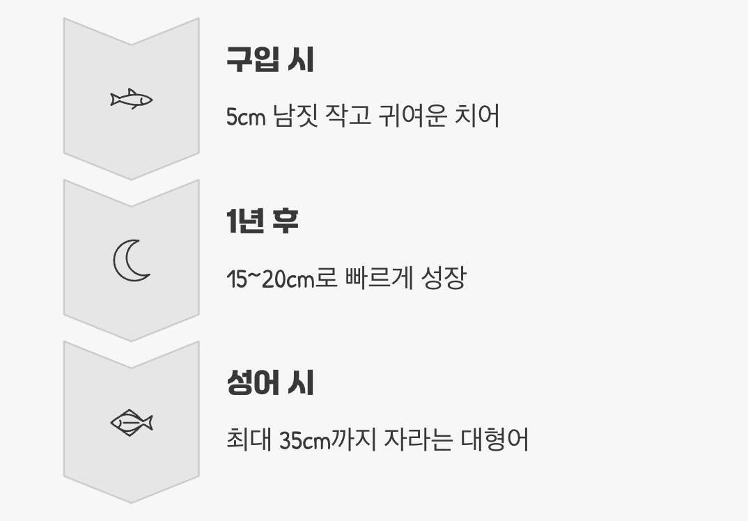 가장 큰 오해, 5cm의 귀여움