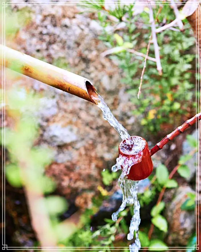 생방송 오늘저녁 경남 산청 지리산 힐링 티테라피 약초차 맛집