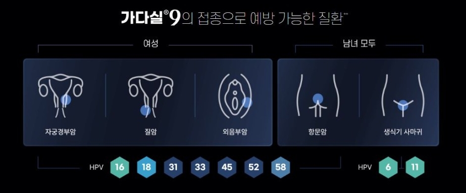 가다실 9가