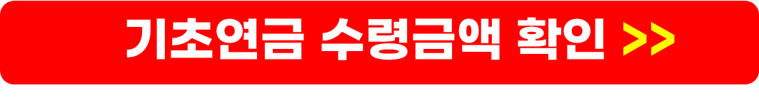 기초연금 노령연금