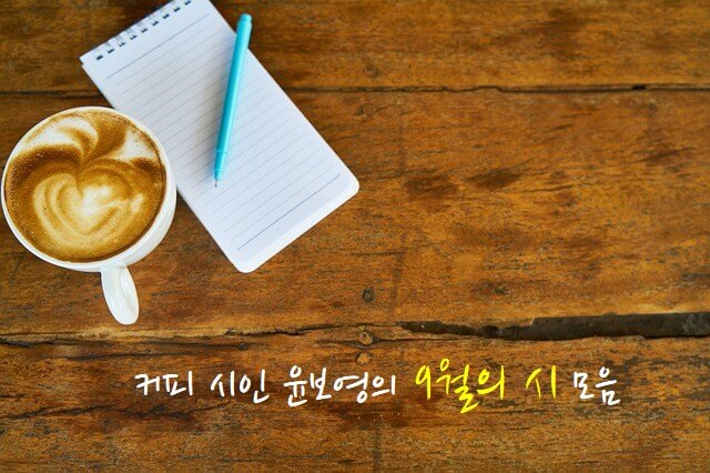 섬네일 이미지