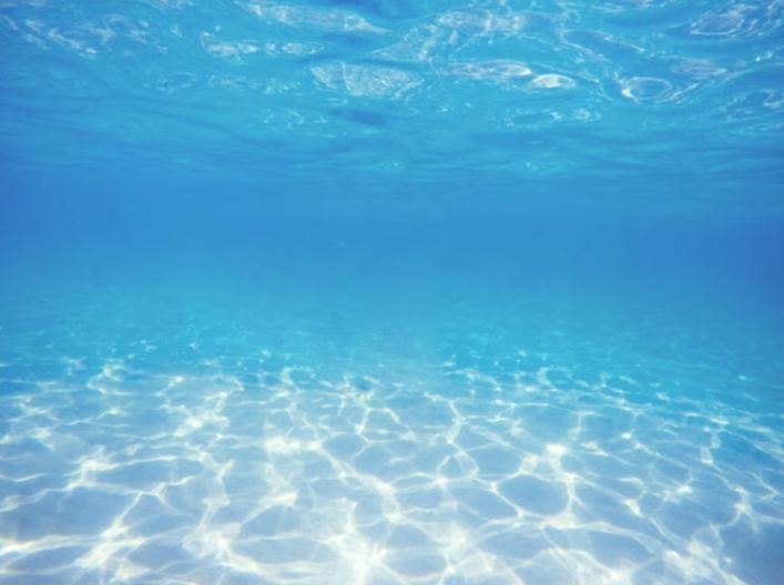 여권사진 여행9