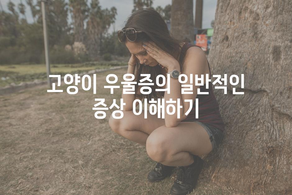고양이 우울증의 일반적인 증상 이해하기