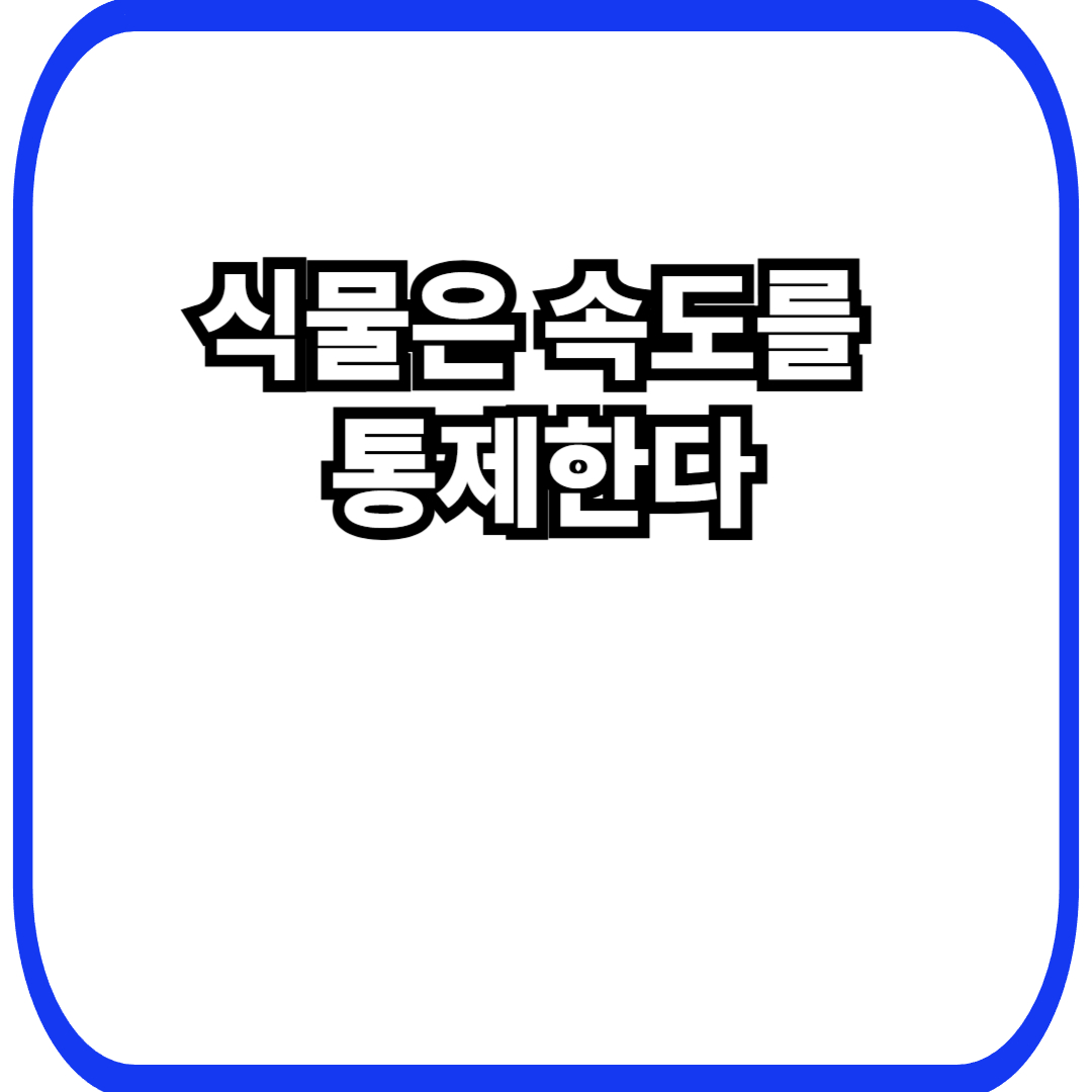 식물 반응 속도 조절에서 시작되는 생존 리듬, 빠르지 않게 움직이는 선택의 이유