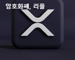 리플