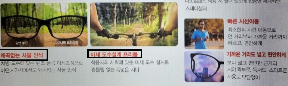 호야-다이나믹-써미트-가격-다이나믹-프리미엄-가격