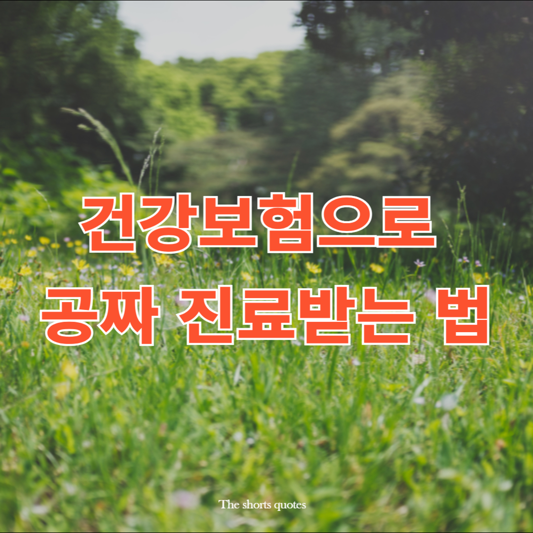 건강보험으로 공짜 진료받는 법