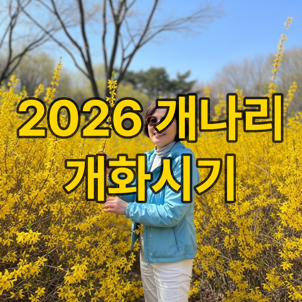 개나리 개화시기