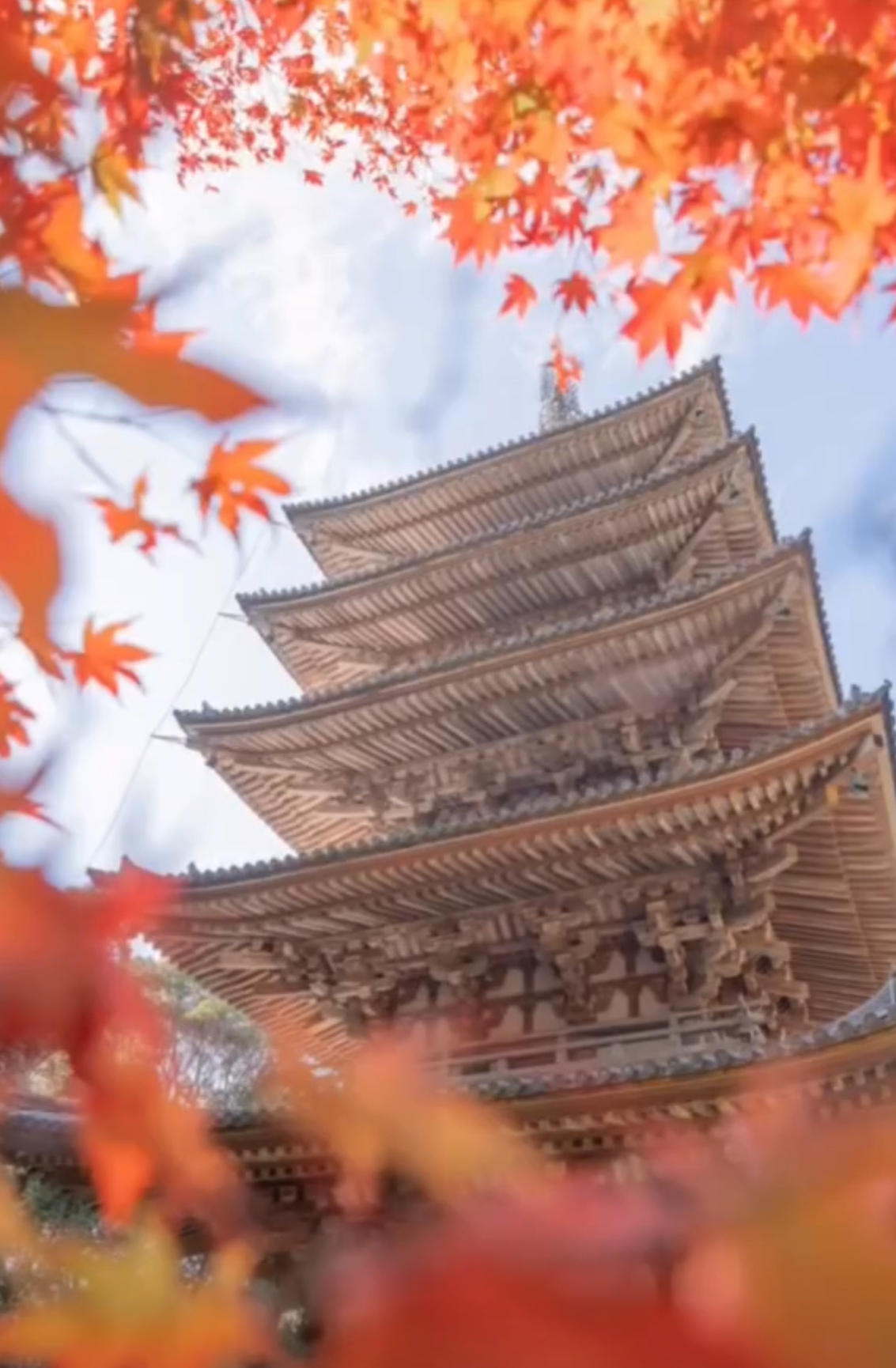 일본 교토 여행코스 04