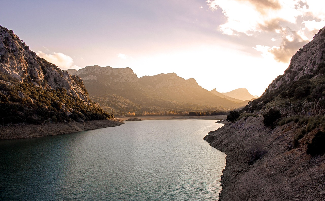 청년 월세 지원금, 금액부터 신청 방법까지 한번에 알아보기