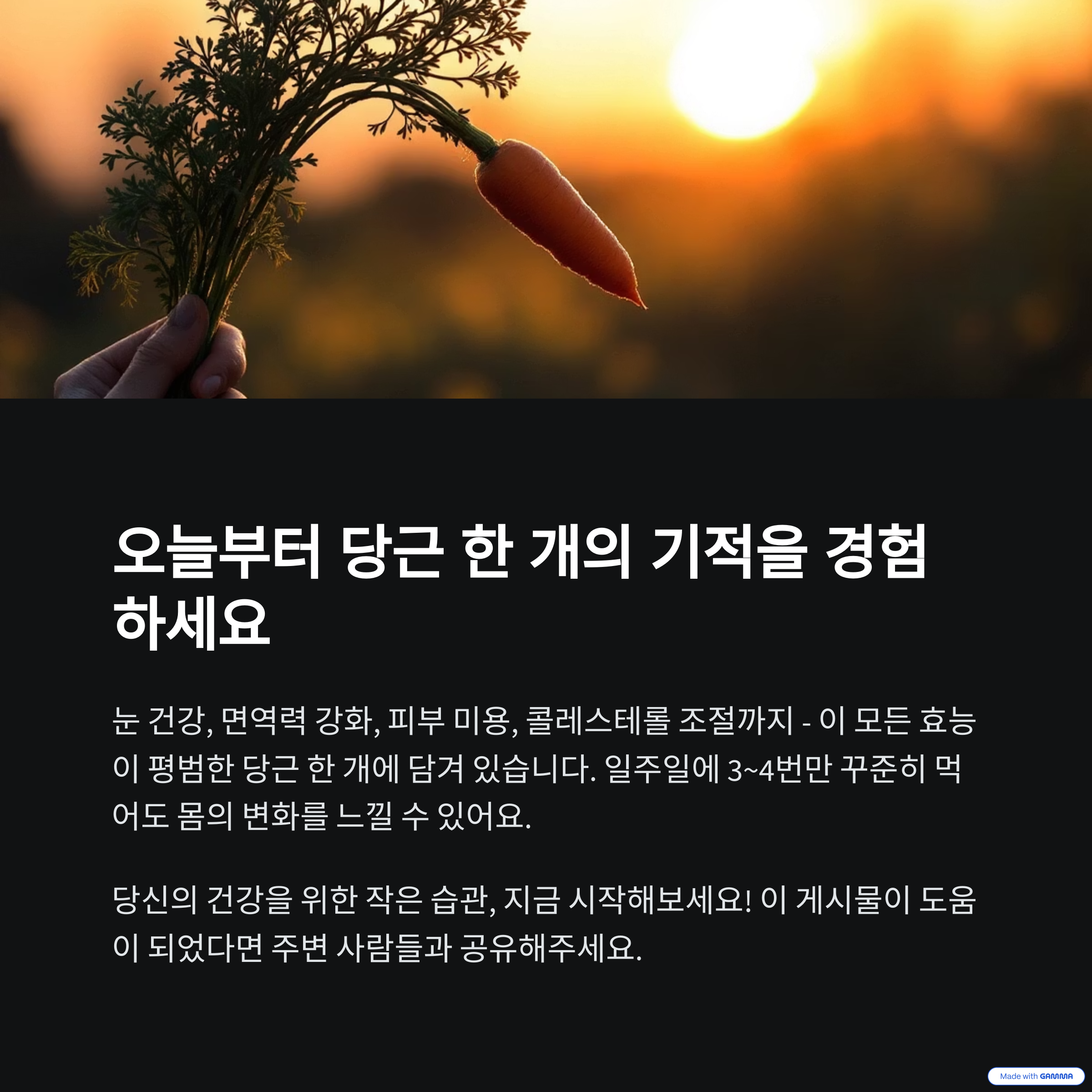 저녁에 밭에서 막 뽑은 당근을 들고 있는 사진
